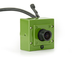 Bird Box IP camera