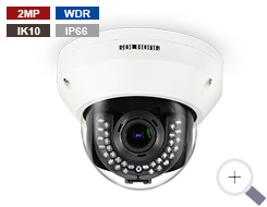 2MP Heavy-Duty Dome Camera with Low lux