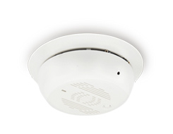 Smoke Detector Camera - Home