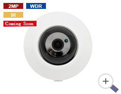 2MP Flush Infrared Panoramic Camera